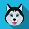 Relax, take some time watch cute dogs and edit images and share them with your friends