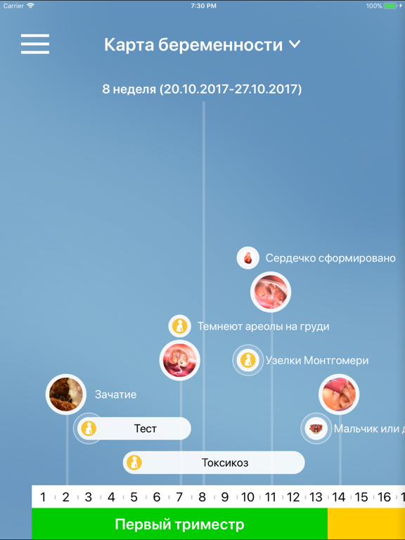 Я беременна iPad screenshot 9 - Medical app