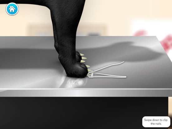 Doctor Games: Pet Vet Cat Care iPad app afbeelding 4
