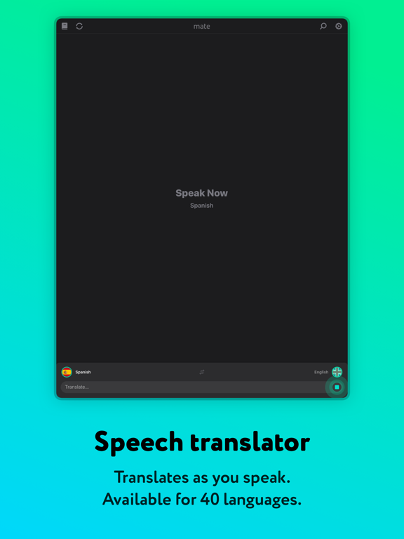 Language Translator by Mate iPad screenshot 4 - Reference app