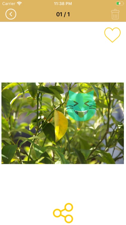 Emoji Fun Editor screenshot-3