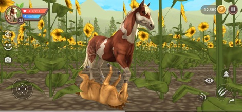 WildCraft: Wild Sim Online - Los jugadores pueden explorar diversos biomas, como un vibrante campo de girasoles donde un caballo adulto y su potrillo interactúan pacíficamente.