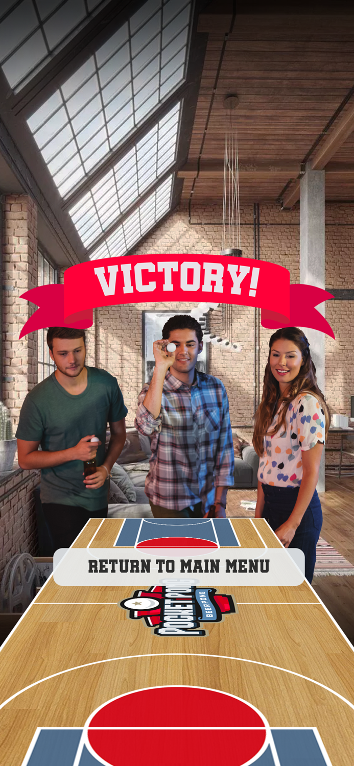 Pocket Pong Beer Pong