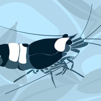 Freshwater Species Hong Kong