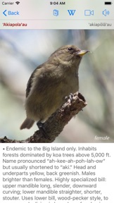 Bird ID Hawaii screenshot