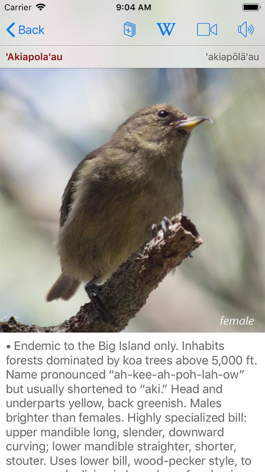 #6. Bird ID Hawaii (iOS) 由: John P. Hoover