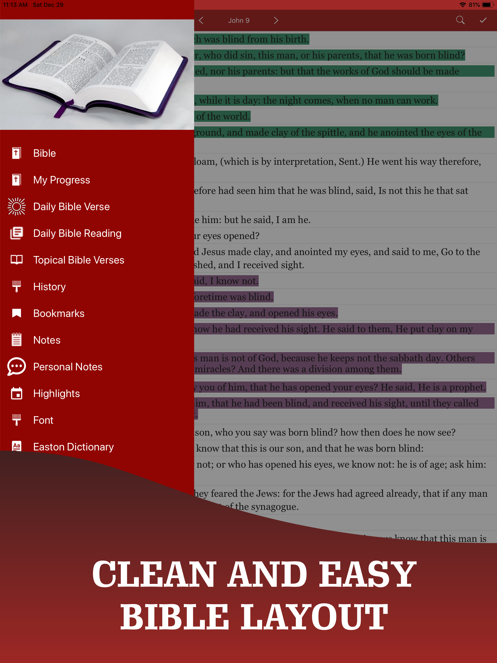 American King James Bible