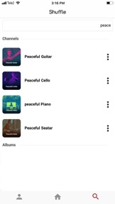 Shuffle Music screenshot