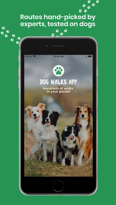Dog Walks Screenshot