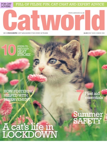 Catworld Magazine iPad screenshot