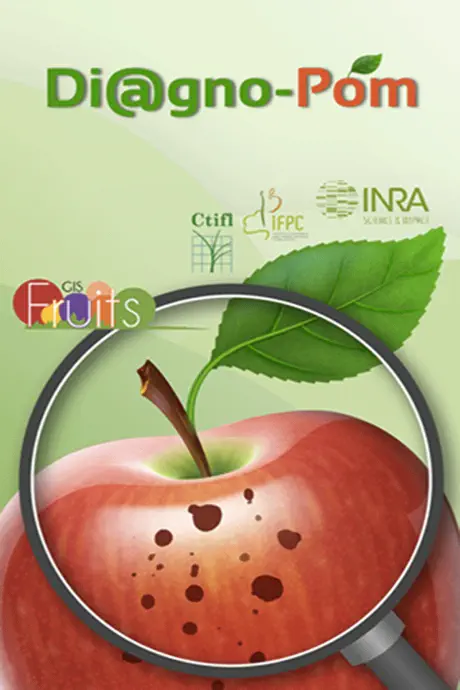 Di@gno-Pom