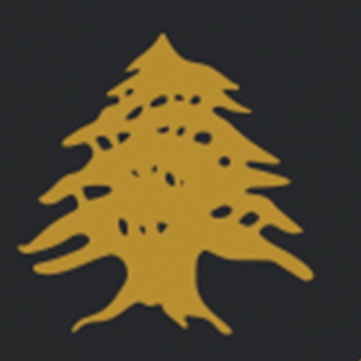 Beirut Mezza, White City