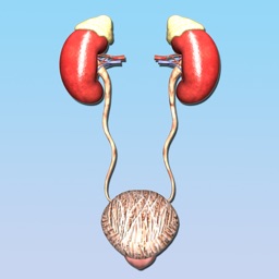 Atlas of Urology