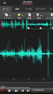 wavepad音声編集ソフト iphone screenshot 2