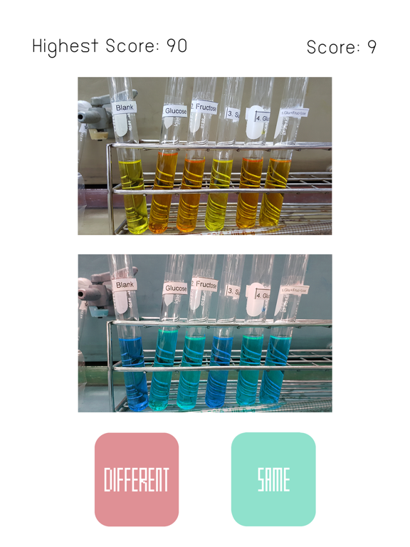 Screenshot #6 pour Same or Different ?