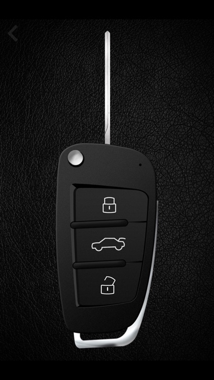 Keys and engine sounds of cars screenshot-4