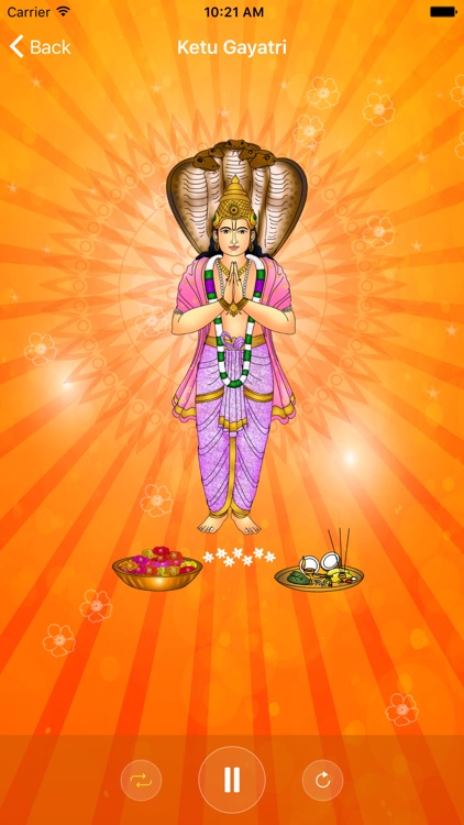 Ketu Pooja and Mantra screenshot-3