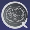 CT PassQuiz 腹部 / 断面図/解剖 /MRI - iPadアプリ