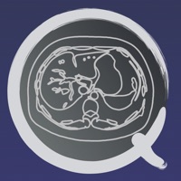 CT PassQuiz 腹部 / 断面図/解剖 /MRI