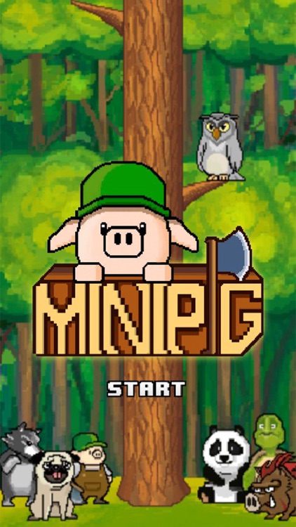 MiniPig