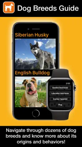 Game screenshot Dogs Guide for Watch: Breeds mod apk