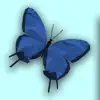 Butterfly Garden 3D delete, cancel