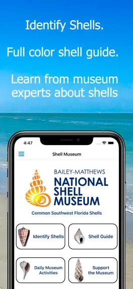 Game screenshot Shell Museum: Identify Shells mod apk