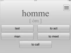 Learn Top 300 French Words iPad image 3