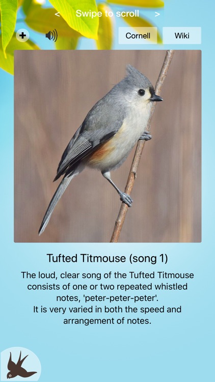 Chirp! Bird Songs & Calls USA