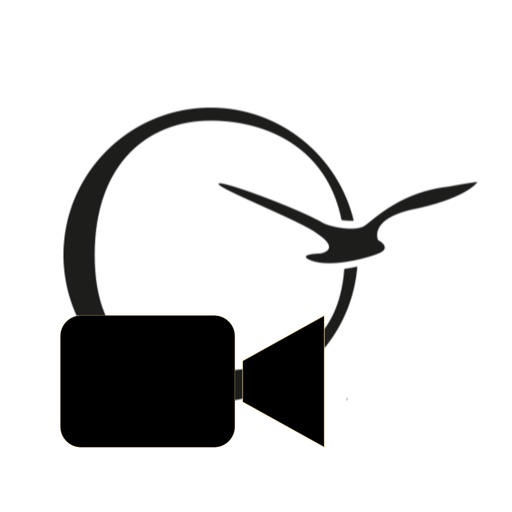 Videoberatung Albatros-Direkt