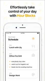 hour blocks: day planner iphone screenshot 1