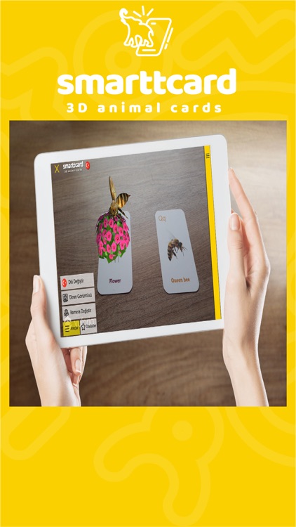 Smarttcard Animals 3D