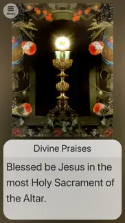chaplets and rosary iphone screenshot 4