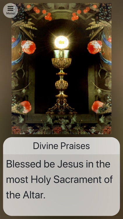 Chaplets and Rosary screenshot-3