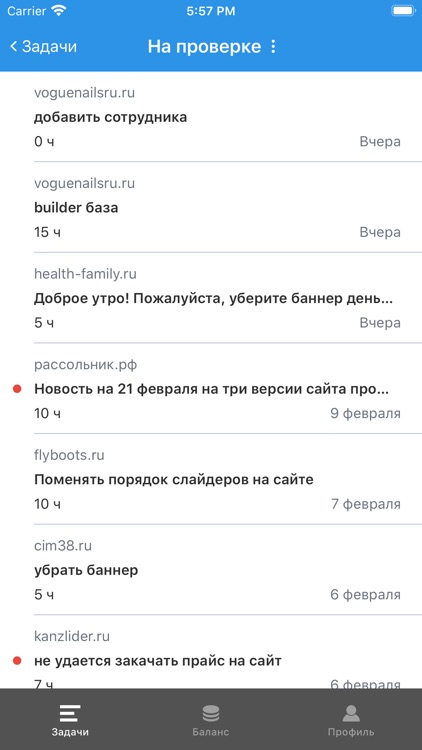 Megamir IT screenshot-3