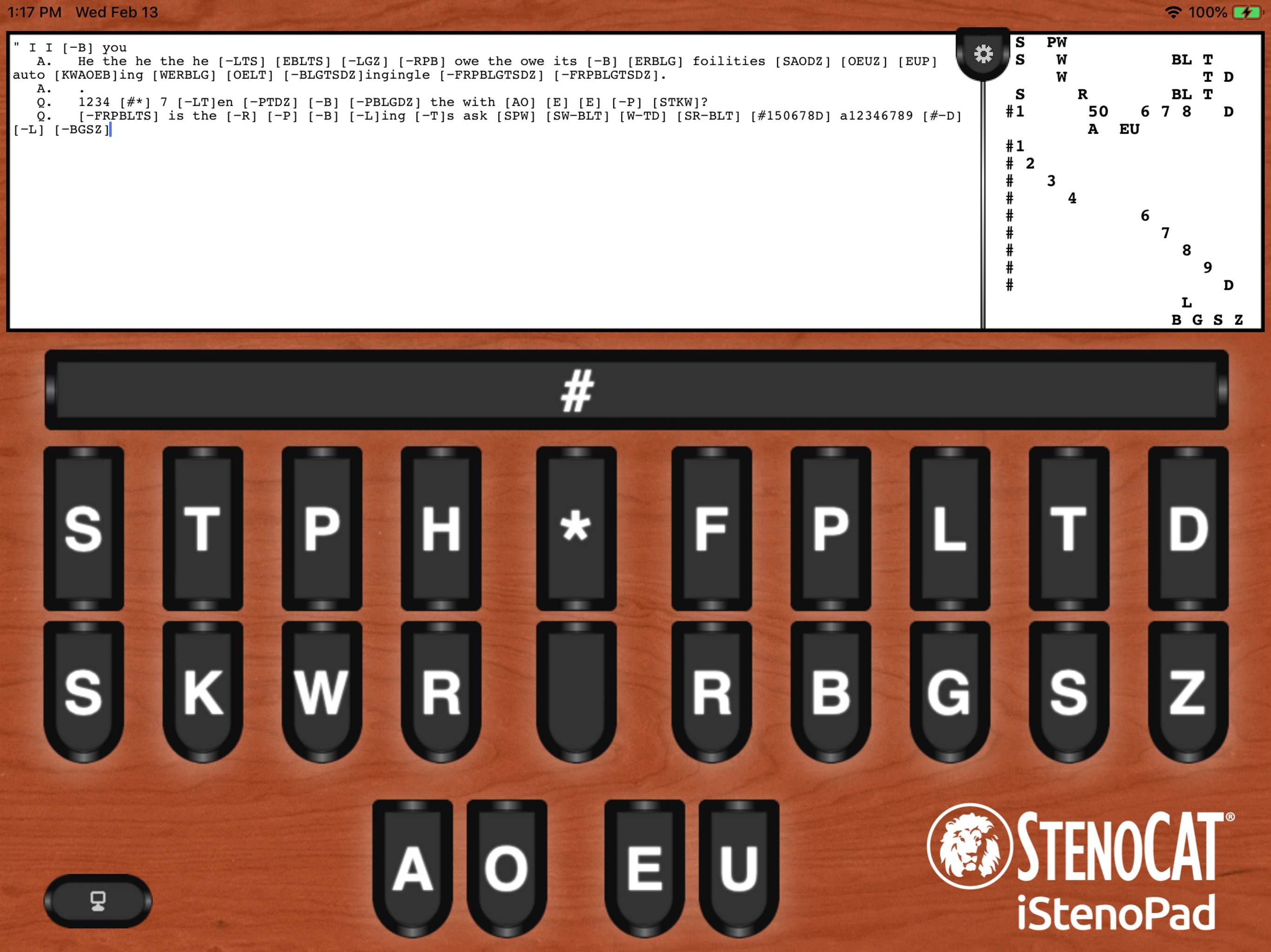 iStenoPad screenshot 4