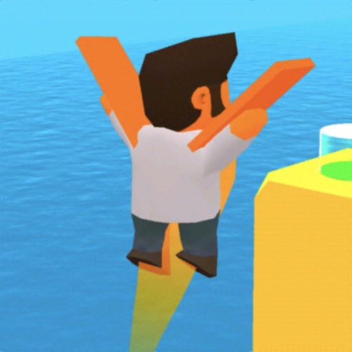 Flap Runner 3D