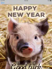 2021 happy new year greetings айпад изображения 2