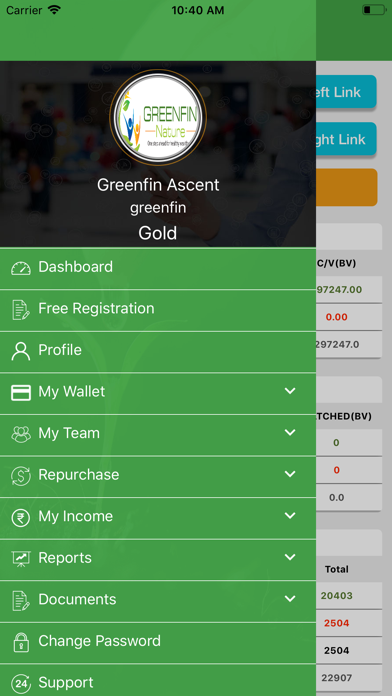 GreenfinAscent screenshot 3