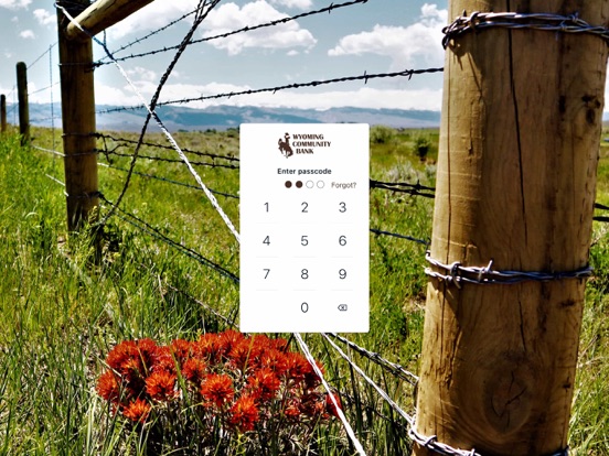 Wyoming Community Bank iPad screenshot 2 - Finance app