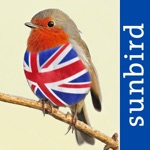 Download All Birds UK - the Photo Guide app