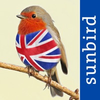 All Birds UK  logo