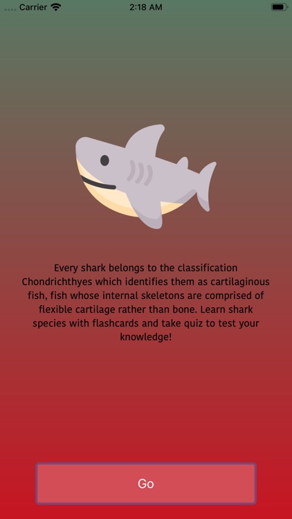 Shark species quiz
