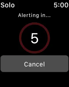 Damstra Solo Watch screenshot #6 for Apple Watch