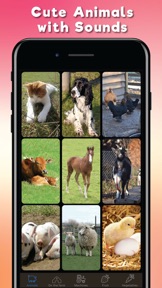 Farm Fun Preschool Flash Cards screenshot