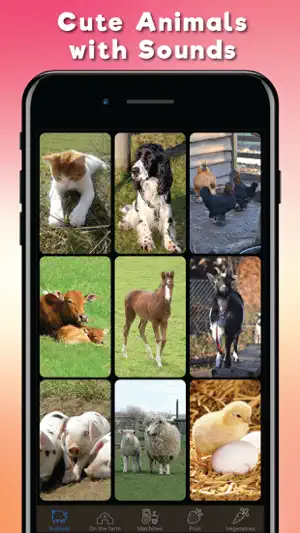 Farm Fun Preschool Flash Cards screenshot 1