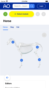 AO Surgery Reference screenshot