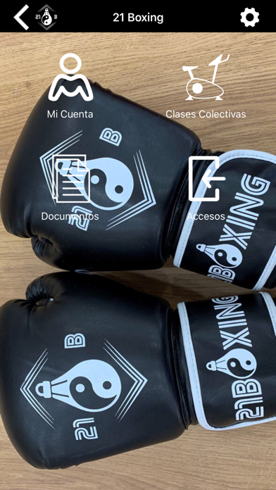 21 Boxing Screenshot