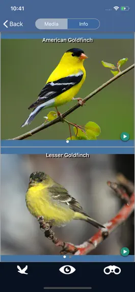 Game screenshot Bird Id USA - backyard birds hack