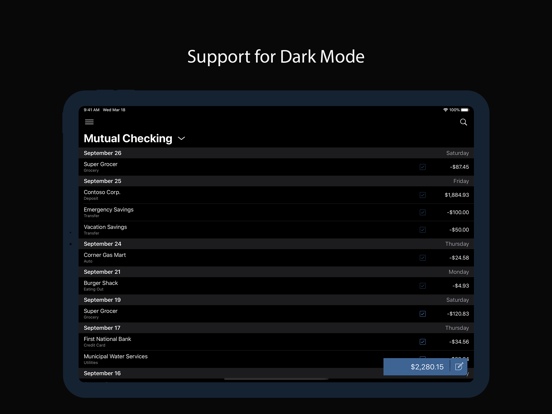 Numero: Personal Finance iPad screenshot 10 - Finance app